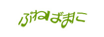 Authentication image